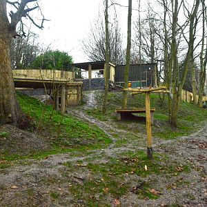 Part of new bush dog enclosure.