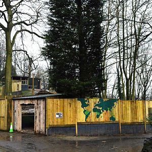 New bush dog enclosure exterior.