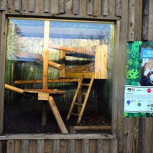 Red panda on-show den.