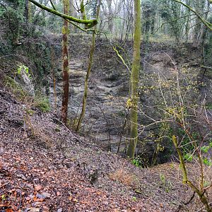 View from new picnic area.
