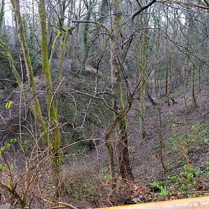 View from new picnic area.