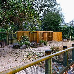 Penguin separation area