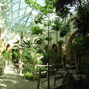 [2022] Inside antelope/giraffe house