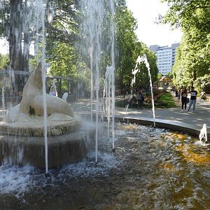 [2022] Water fountain and general view