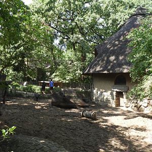 [2022] Visayan wart pig enclosure