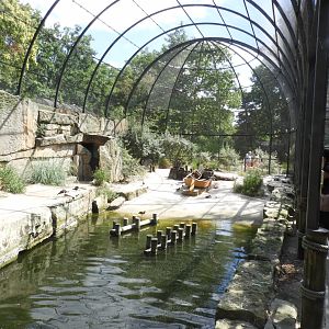 [2022] Inside shorebird aviary