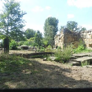 [2022] Sloth bear enclosure