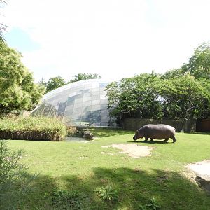 [2022] Outdoor hippo enclosure