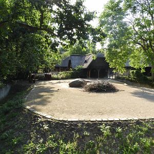 [2022] Ankole cattle enclosure