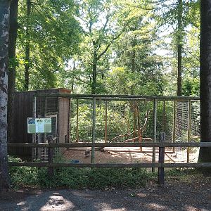 Blue peafowl aviary and barn, 2023-06-24