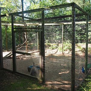 Blue peafowl aviary, 2023-06-24