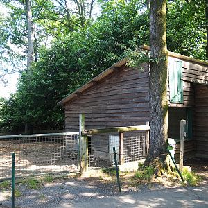 Warthog paddock and barn, 2023-06-24