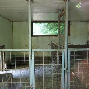 Warthog indoor stalls, 2023-06-24