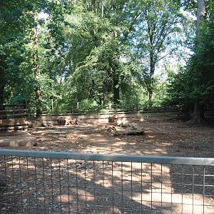 Warthog paddock, 2023-06-24