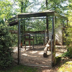 Cougar exhibit, 2023-06-24