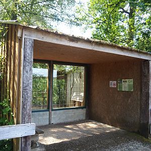 Cougar viewing window, 2023-06-24