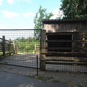 Domestic Yak barn and hardstand, 2023-06-24