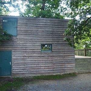 Lion building and access to lion viewing platform, 2023-06-24