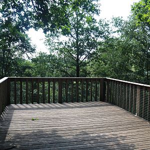Lion viewing platform, 2023-06-24