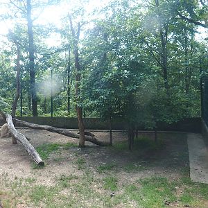 White lion exhibit, 2023-06-24