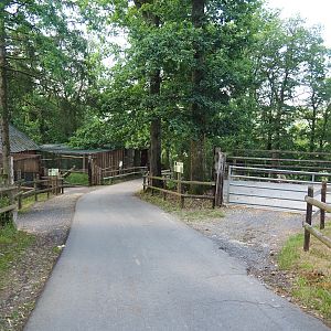 Park view with walkways and parts of Hamadryan baboon, Southern ground hornbill and Water buffalo exhibits 2023-06-24