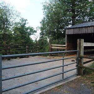 Water buffalo shelter and hardstand, 2023-06-24