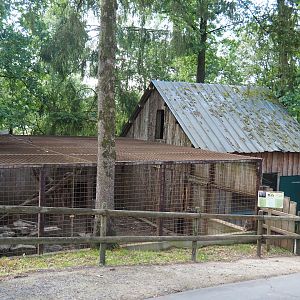 Hamadryas baboon cage and barn, 2023-06-24