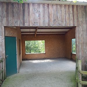 Southern ground hornbill barn and African wild dog viewing area, 2023-06-24