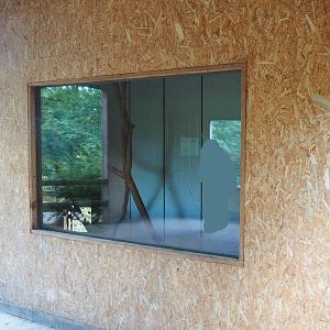 Southern ground hornbill indoor housing, 2023-06-24