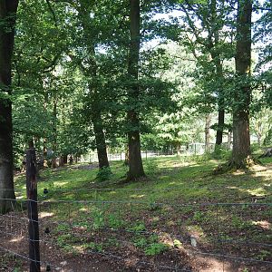 Zebu paddock, 2023-06-24