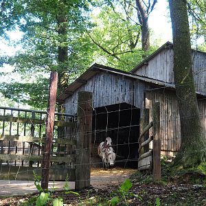 Zebu barn, 2023-06-24