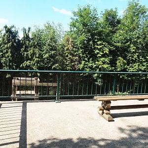European Brown bear viewing area, 2023-06-24