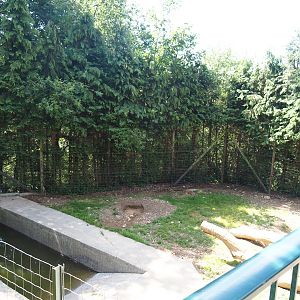 European Brown bear exhibit, 2023-06-24