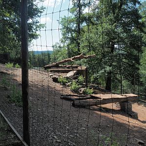 Alpine ibex exhibit, 2023-06-24