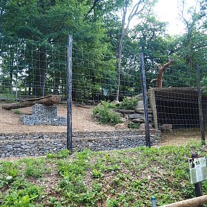 Alpine ibex exhibit, 2023-06-24