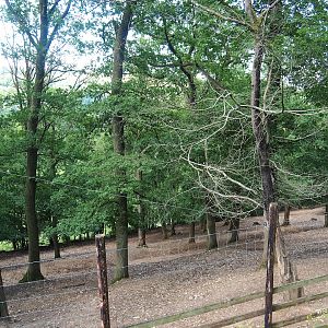 Red deer paddock, 2023-06-24