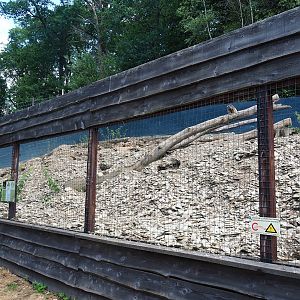 Alpine marmot exhibit, 2023-06-24