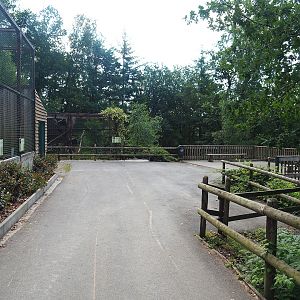 Viewing area for Waldrapp and Sacred ibis aviary, European wildcat exhibit and Mishmi takin paddock, 2023-06-24