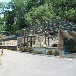 Alpine marmot exhibit and Waldrapp and African sacred ibis aviary, 2023-06-24