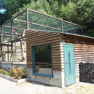 Waldrapp and African sacred ibis aviary and barn, 2023-06-24