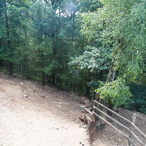 Mishmi takin paddock, 2023-06-24