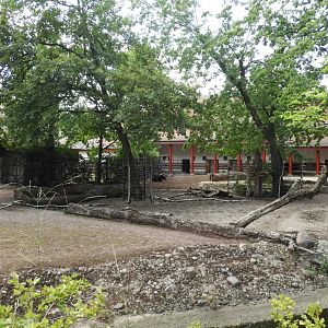 [2022] Gaur enclosure