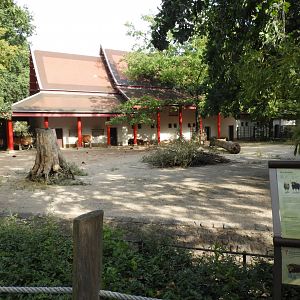 [2022] Banteng enclosure