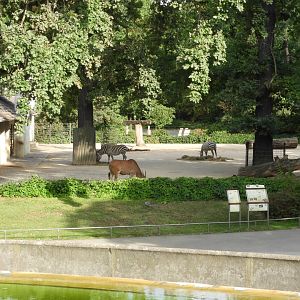 [2022] View towards eland and zebra enclosure