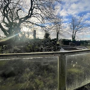 Old Otter Enclosure (16/12/23)