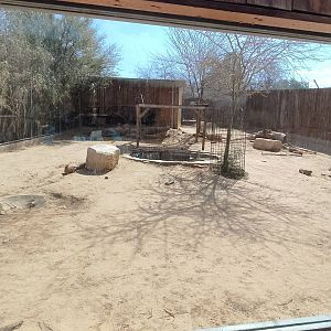 Old Striped Hyena exhibit
