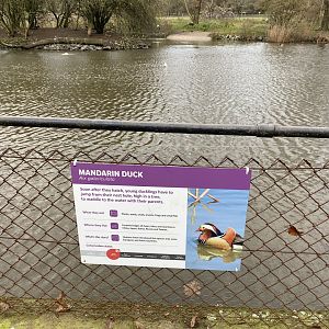 New lake signage - mandarin duck