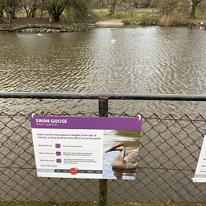 New lake signage - swan goose