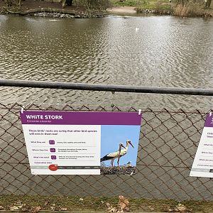 New lake signage - white stork