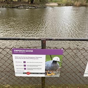 New lake signage - emperor goose